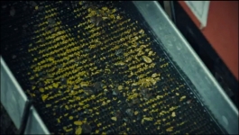 Gold Rush White Water - Season 06 Episode 17